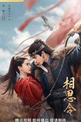 相思令 第08集